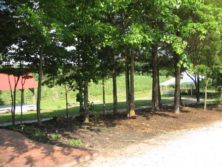 Medley Meadows Stage and Vineyards for rent for YOUR EVENT