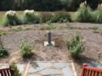This yard need major work...I already said that didn't I? (135kb)