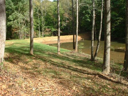 Pond redo--oooh 
